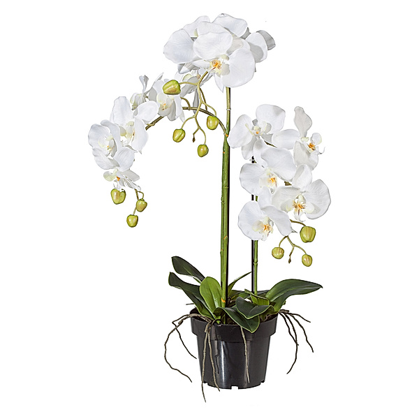 Kunstorchidee Phalaenopsis im Kunststofftopf, weiss (Grösse: 62 cm)