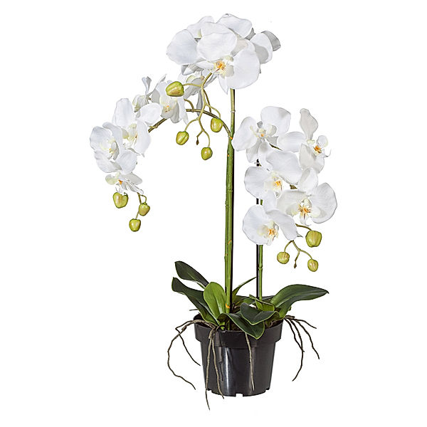 Kunstorchidee Phalaenopsis im Kunststofftopf, weiß (Größe: 62 cm)