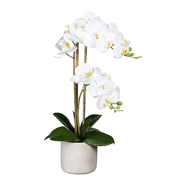 Kunstorchidee Phalaenopsis im Zementtopf, 60 cm, 2 Blütenzweige Farbe: weiß