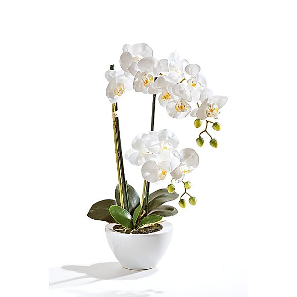 Kunstorchidee Phalaenopsis in Keramikschale, 50 cm (Farbe: weiß)