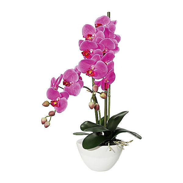 Kunstorchidee Phalaenopsis in Keramikschale, 50 cm (Farbe: lila)