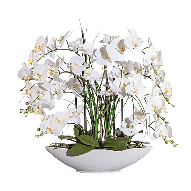 Kunstorchidee Phalaenopsis in Keramikschale, 70 cm, 8 Blütenzweige Farbe:  weiss