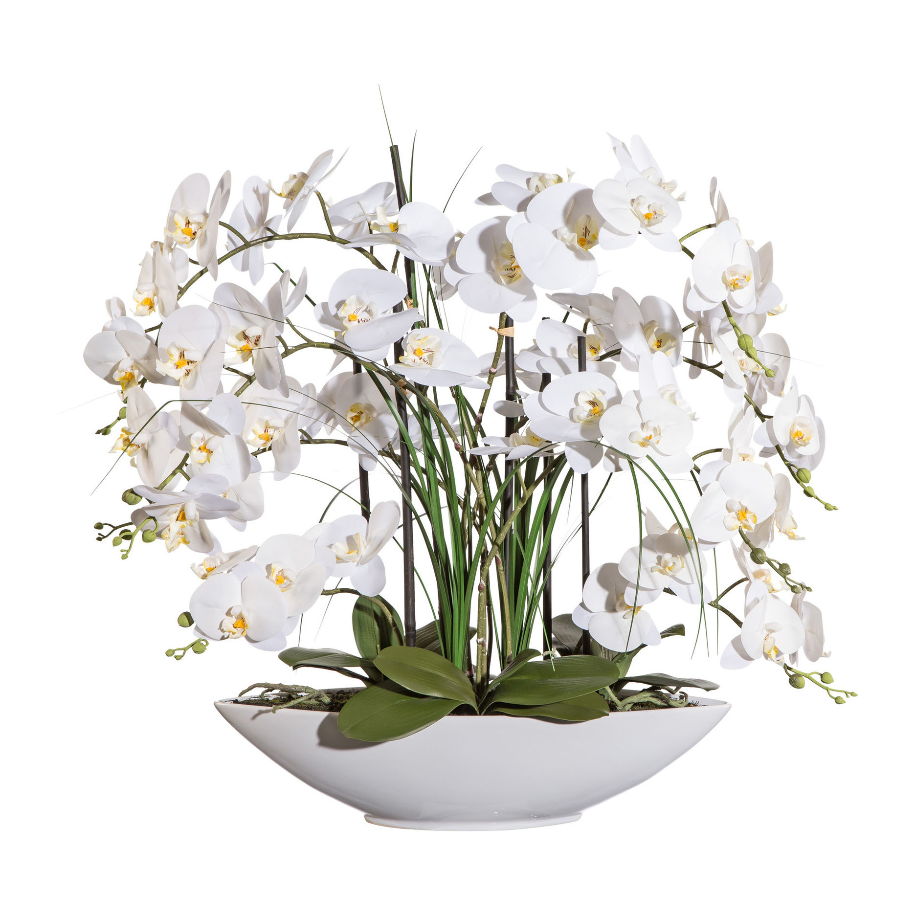 Kunstorchidee Phalaenopsis in Keramikschale, 70 cm, 8 Blütenzweige Farbe:  weiss