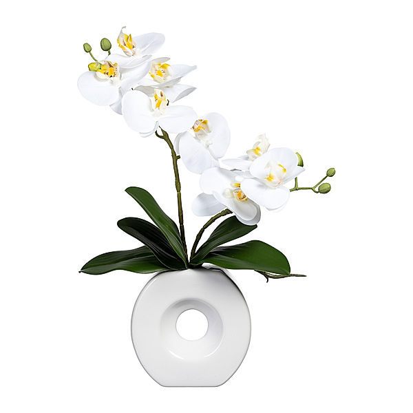 Kunstorchidee Phalaenopsis in Keramikvase, 35 cm, 2 Blütenzweige (Farbe: weiß)