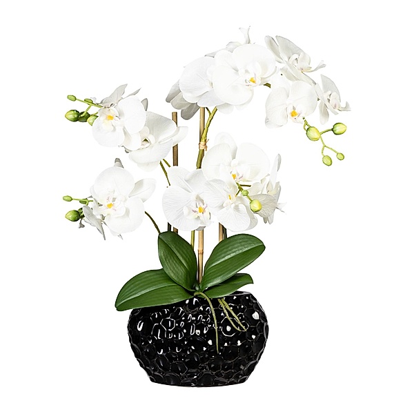 Kunstorchidee Phalaenopsis in Keramikvase, 55 cm, 4 Blütenzweige (Farbe: weiß)