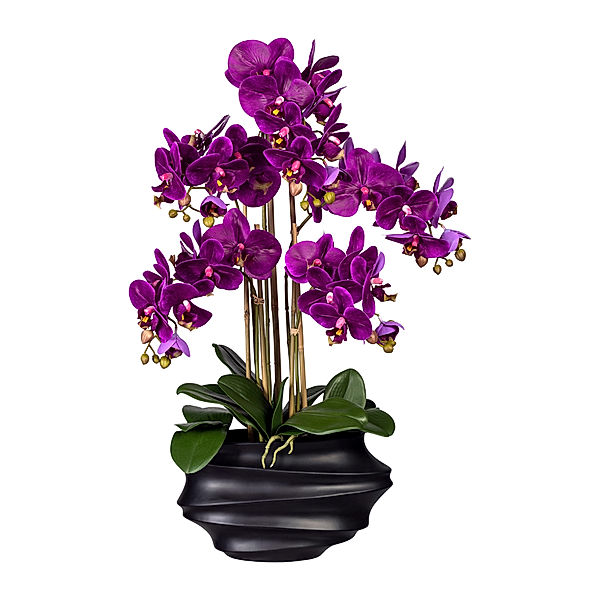 Kunstorchidee Phalaenopsis in Kunststoffvase, 75 cm, 5 Zweige (Farbe: lila)