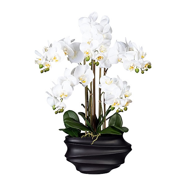Kunstorchidee Phalaenopsis in Vase, weiß, 75 cm, 5 Blütenzweige (Vase: schwarz)