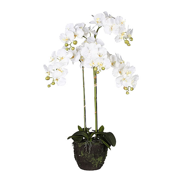 Kunstorchidee Phalaenopsis m. Ballen, 100 cm (Farbe: weiß)