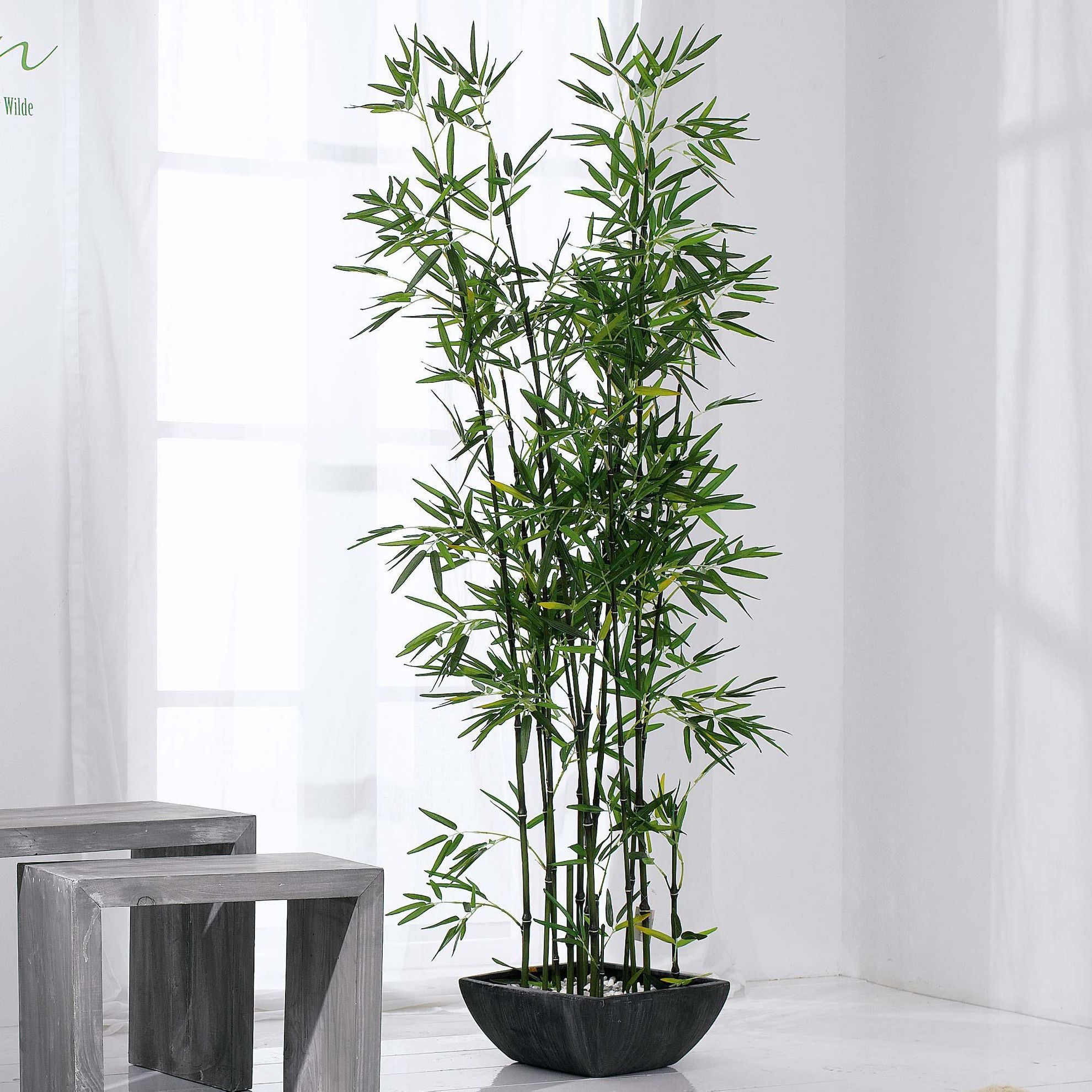 Kunstpflanze Bambus im Terrakottatopf bestellen | Weltbild.de