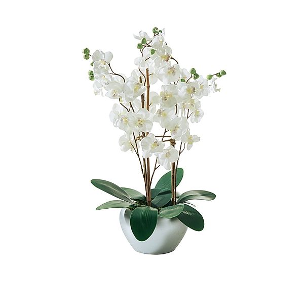 Kunstpflanze Orchidee Puro