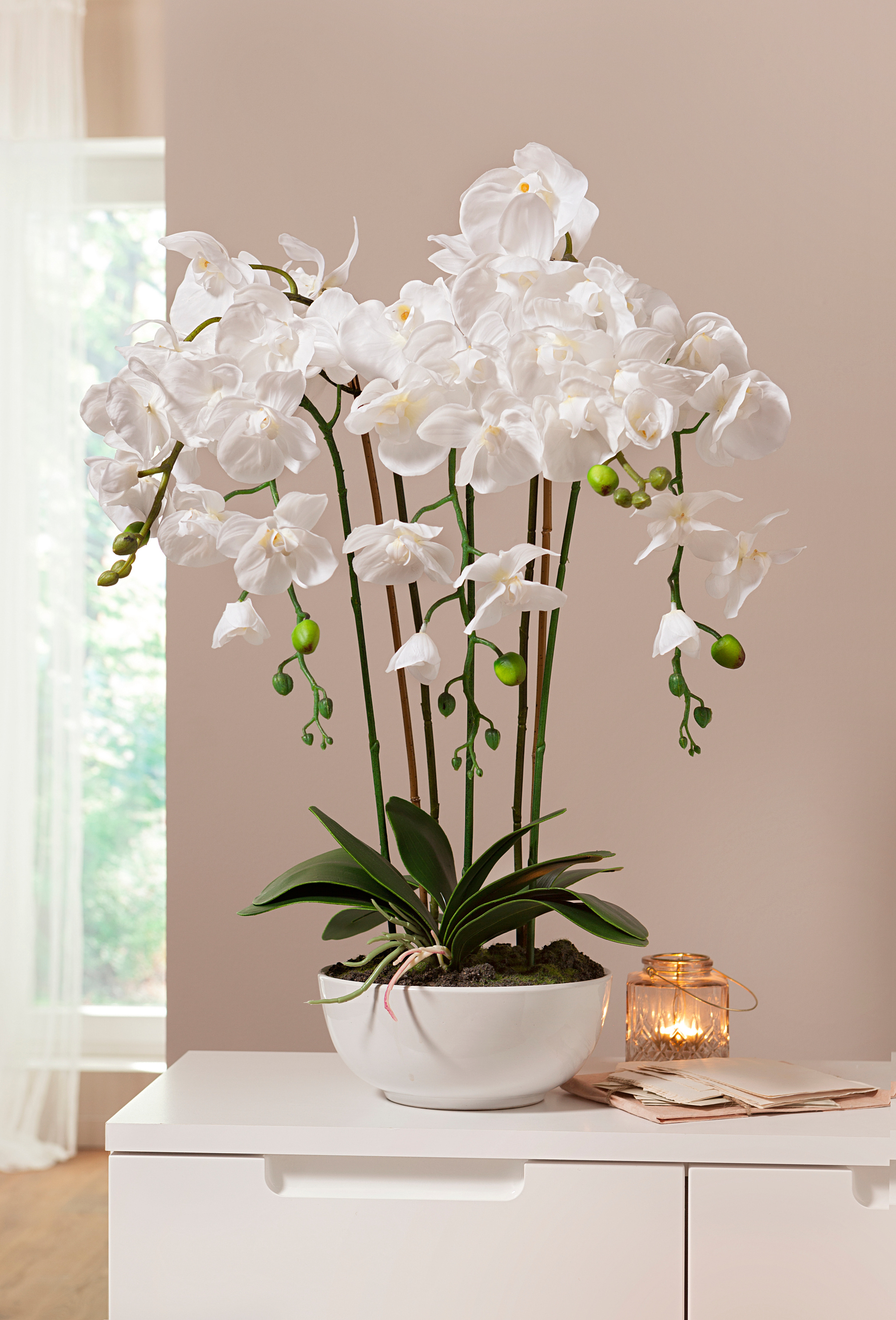 Kunstpflanze Orchidee, Real-Touch jetzt bei Weltbild.de bestellen