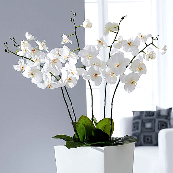 Kunstpflanze Orchidee, weiß