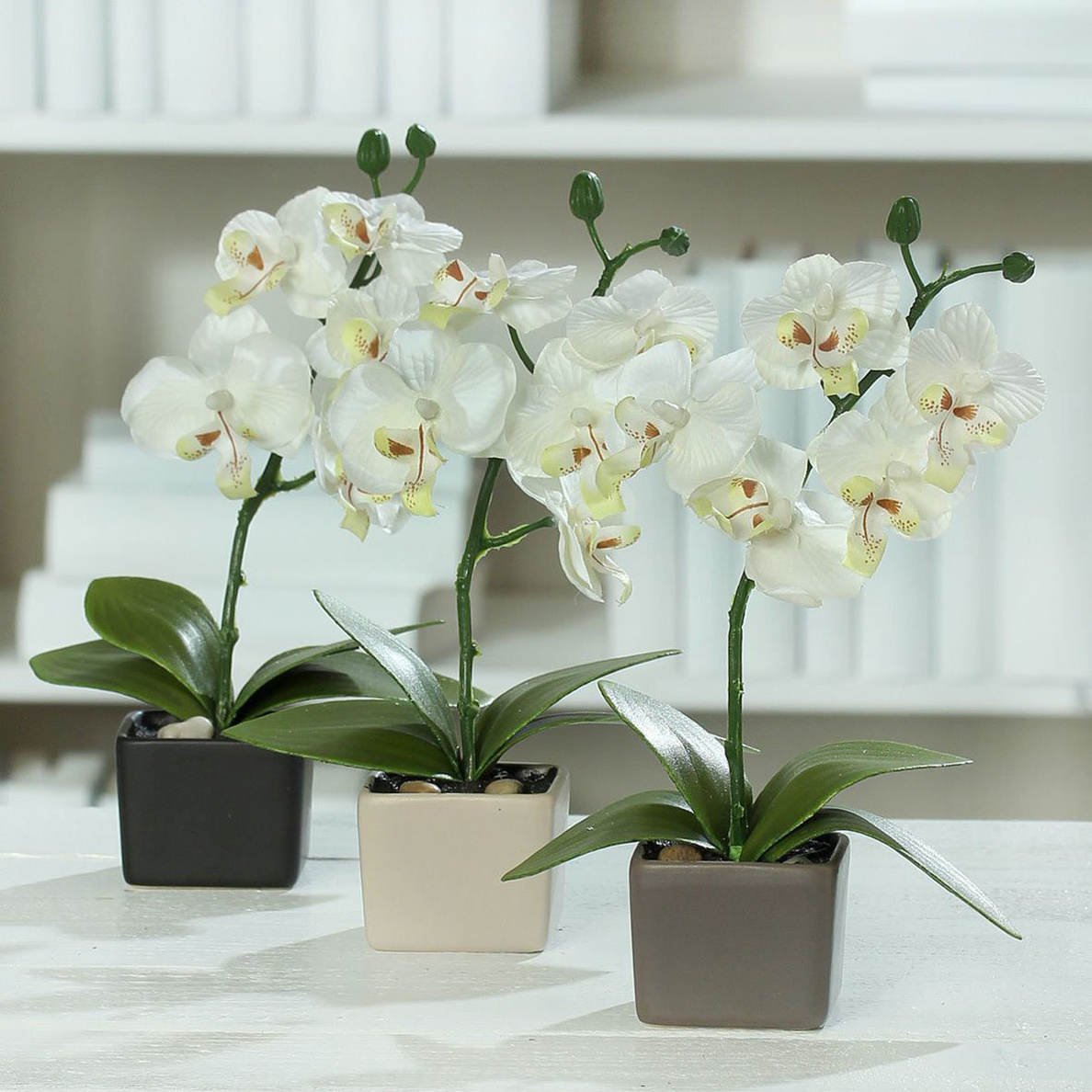 3er-Set Orchideen im Kunstpflanze Keramiktopf,