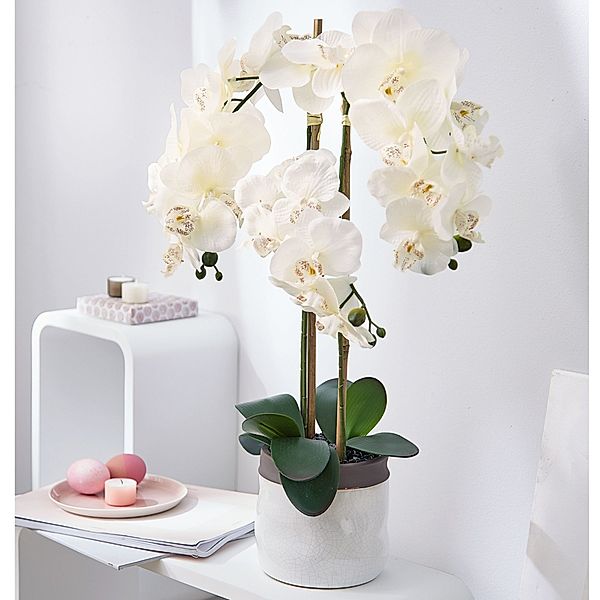 Kunstpflanze Orchideentopf Harmonie