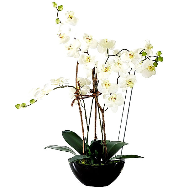 Kunstpflanze Orchideentopf Modern