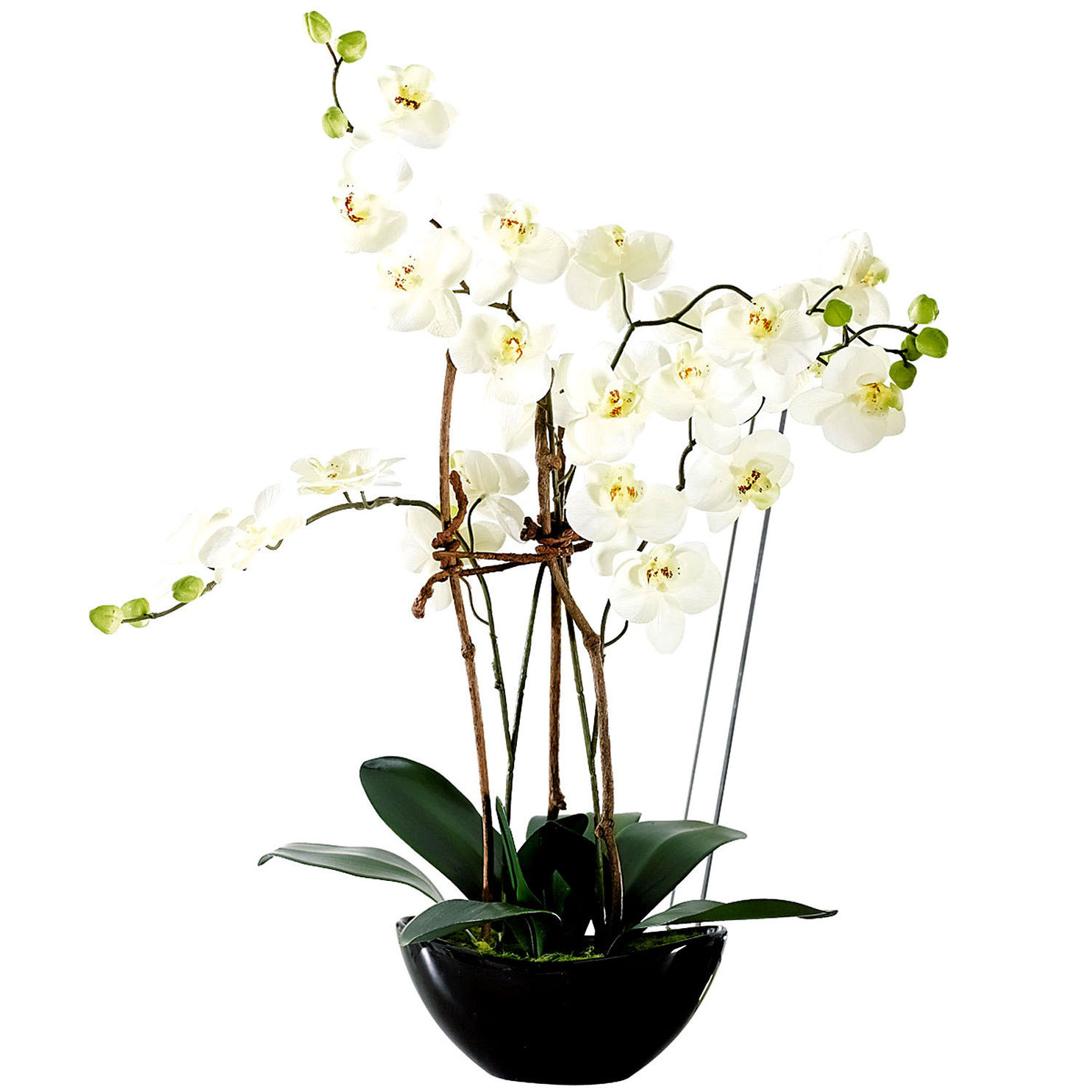 Kunstpflanze Orchideentopf Modern jetzt bei Weltbild.de bestellen