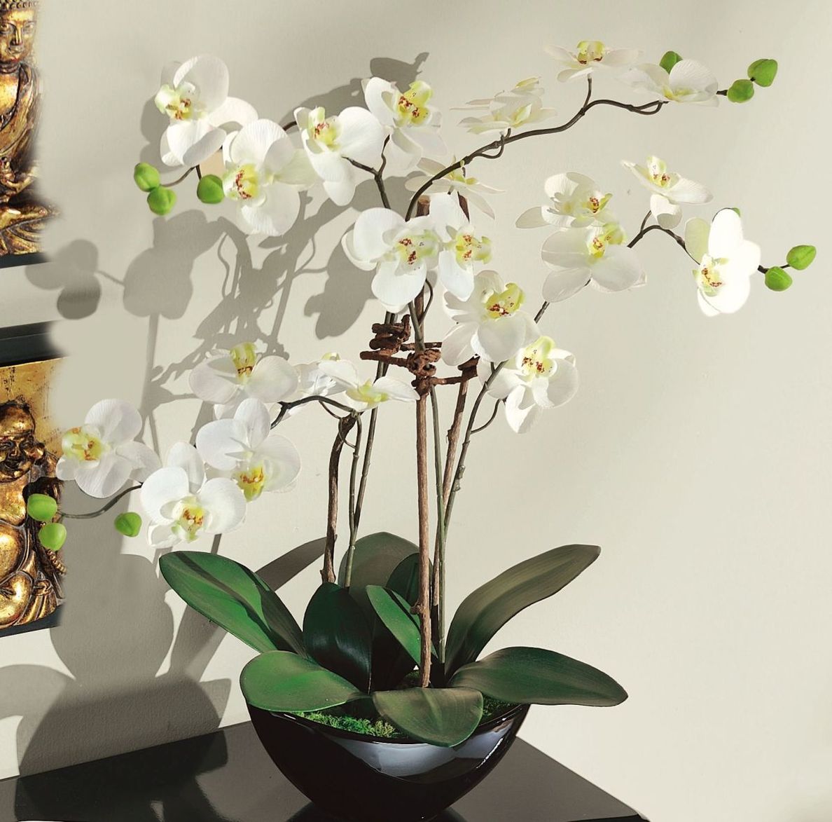 Kunstpflanze Orchideentopf Modern jetzt bei Weltbild.ch bestellen