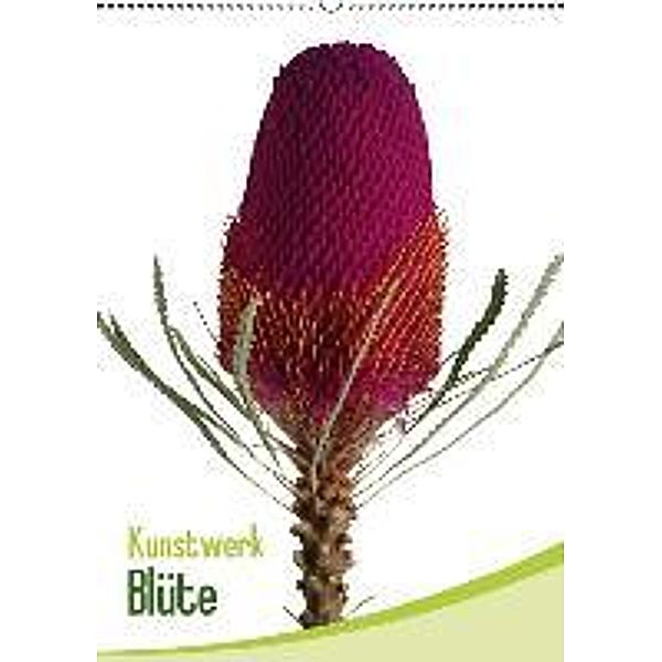 Kunstwerk Blüte (Wandkalender 2016 DIN A2 hoch), Calvendo