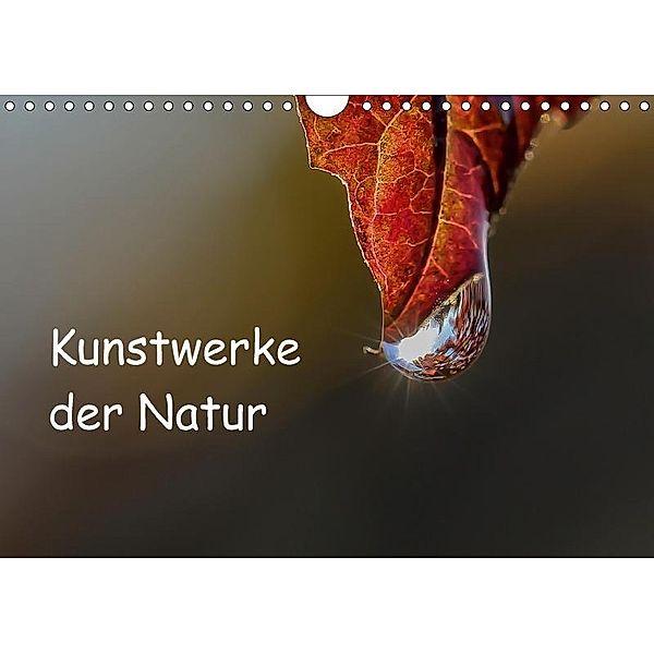 Kunstwerke der Natur (Wandkalender 2017 DIN A4 quer), Andrea Potratz