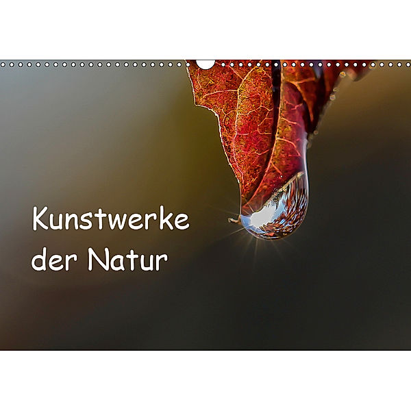 Kunstwerke der Natur (Wandkalender 2019 DIN A3 quer), Andrea Potratz