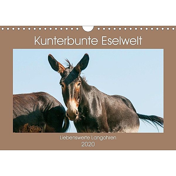 Kunterbunte Eselwelt - Liebenswerte Langohren (Wandkalender 2020 DIN A4 quer), Meike Bölts