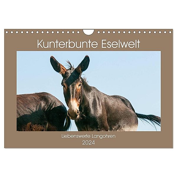 Kunterbunte Eselwelt - Liebenswerte Langohren (Wandkalender 2024 DIN A4 quer), CALVENDO Monatskalender, Meike Bölts