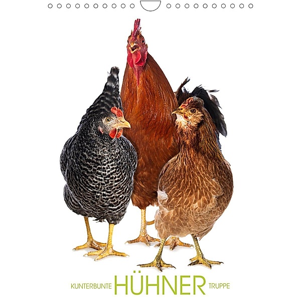 Kunterbunte Hühner Truppe (Wandkalender immerwährend DIN A4 hoch), Judith Kiener - DoraZett