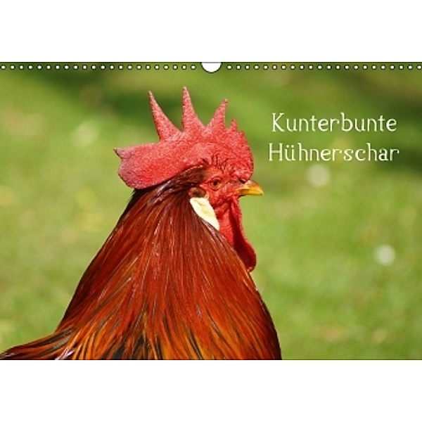 Kunterbunte Hühnerschar (Wandkalender 2014 DIN A3 quer), kattobello