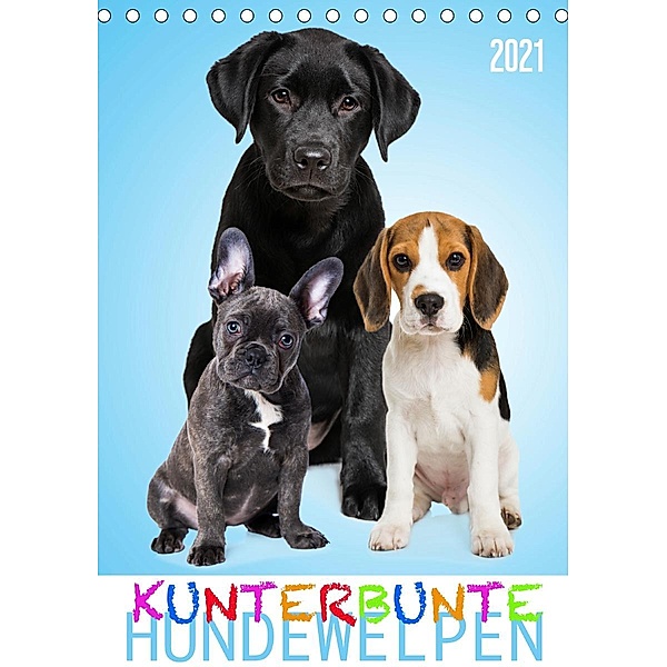 Kunterbunte Hundewelpen (Tischkalender 2021 DIN A5 hoch), Judith Dzierzawa - DoraZett