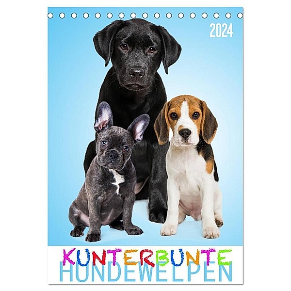 Kunterbunte Hundewelpen (Tischkalender 2024 DIN A5 hoch), CALVENDO Monatskalender, Judith Dzierzawa - DoraZett