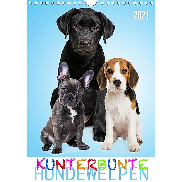Kunterbunte Hundewelpen (Wandkalender 2021 DIN A4 hoch), Judith Dzierzawa - DoraZett