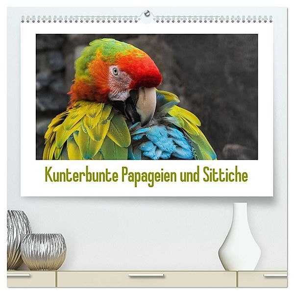 Kunterbunte Papageien und Sittiche (hochwertiger Premium Wandkalender 2025 DIN A2 quer), Kunstdruck in Hochglanz, Calvendo, Angelika Beuck