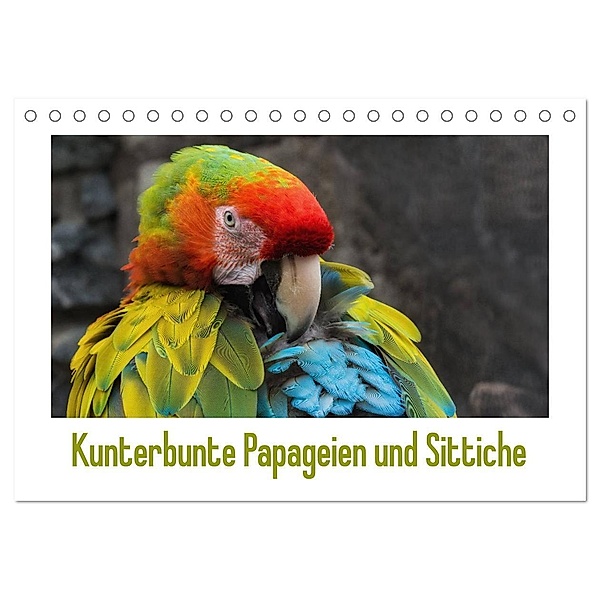 Kunterbunte Papageien und Sittiche (Tischkalender 2024 DIN A5 quer), CALVENDO Monatskalender, Angelika Beuck