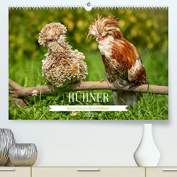 Kunterbunte Rassehühner (Premium, hochwertiger DIN A2 Wandkalender 2023, Kunstdruck in Hochglanz), Judith Kiener - DoraZett