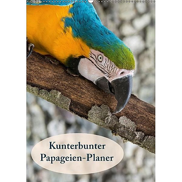Kunterbunter Papageien-Planer (Wandkalender 2017 DIN A2 hoch), Angelika Beuck
