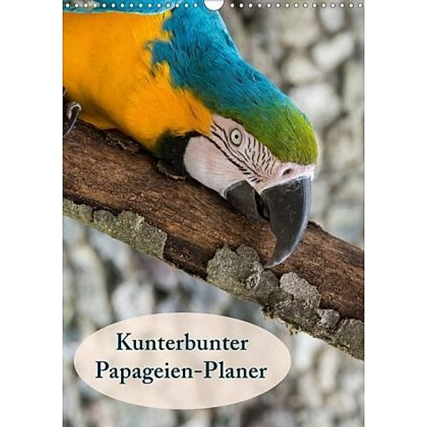 Kunterbunter Papageien-Planer (Wandkalender 2020 DIN A3 hoch), Angelika Beuck