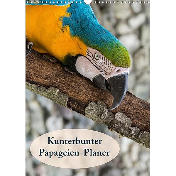 Kunterbunter Papageien-Planer (Wandkalender 2021 DIN A3 hoch), Angelika Beuck