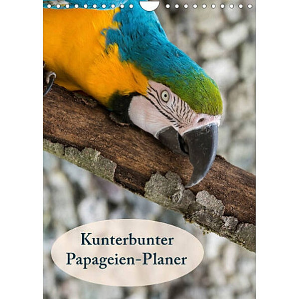 Kunterbunter Papageien-Planer (Wandkalender 2022 DIN A4 hoch), Angelika Beuck