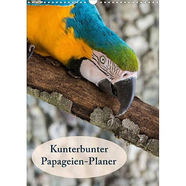 Kunterbunter Papageien-Planer (Wandkalender 2022 DIN A3 hoch), Angelika Beuck