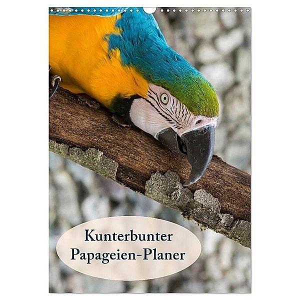 Kunterbunter Papageien-Planer (Wandkalender 2024 DIN A3 hoch), CALVENDO Monatskalender, Angelika Beuck