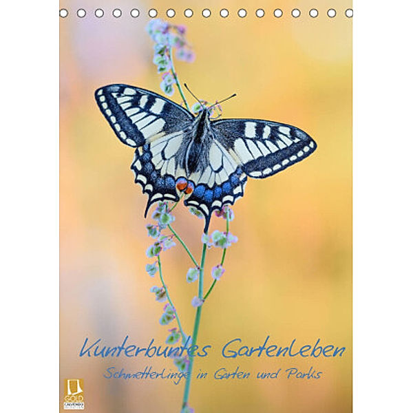 Kunterbuntes Gartenleben - Schmetterlinge in Gärten und Parks (Tischkalender 2022 DIN A5 hoch), Thomas Marth