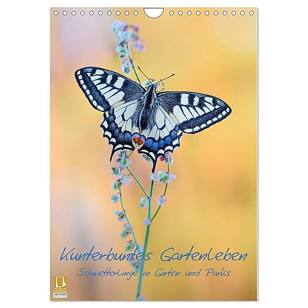 Kunterbuntes Gartenleben - Schmetterlinge in Gärten und Parks (Wandkalender 2024 DIN A4 hoch), CALVENDO Monatskalender, Thomas Marth
