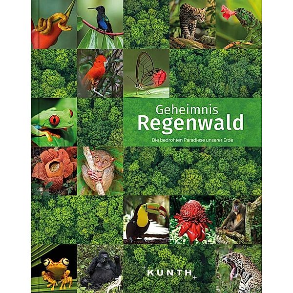 KUNTH Bildband Geheimnis Regenwald