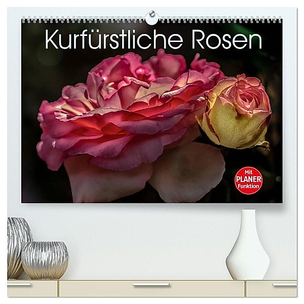 Kurfürstliche Rosen Eltville am Rhein (hochwertiger Premium Wandkalender 2024 DIN A2 quer), Kunstdruck in Hochglanz, Dieter Meyer