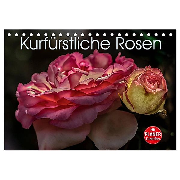 Kurfürstliche Rosen Eltville am Rhein (Tischkalender 2024 DIN A5 quer), CALVENDO Monatskalender, Dieter Meyer