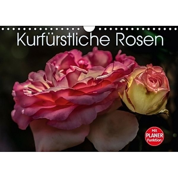 Kurfürstliche Rosen Eltville am Rhein (Wandkalender 2017 DIN A4 quer), Dieter Meyer