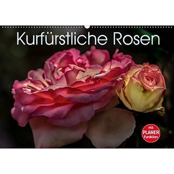 Kurfürstliche Rosen Eltville am Rhein (Wandkalender 2020 DIN A2 quer), Dieter Meyer