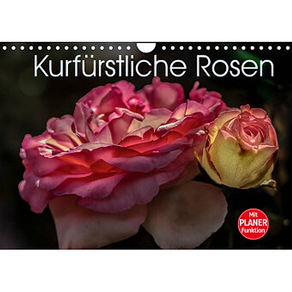 Kurfürstliche Rosen Eltville am Rhein (Wandkalender 2022 DIN A4 quer), Dieter Meyer