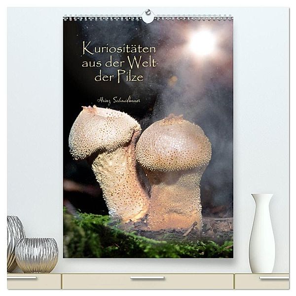 Kuriositäten aus der Welt der Pilze (hochwertiger Premium Wandkalender 2024 DIN A2 hoch), Kunstdruck in Hochglanz, Heinz Schmidbauer