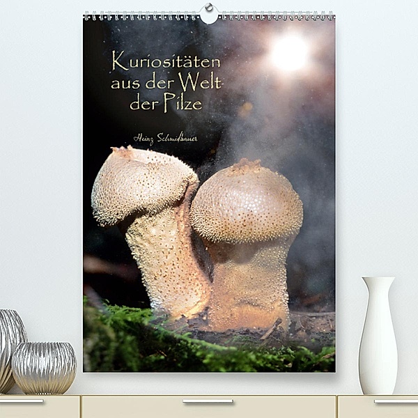 Kuriositäten aus der Welt der Pilze (Premium-Kalender 2020 DIN A2 hoch), Heinz Schmidbauer